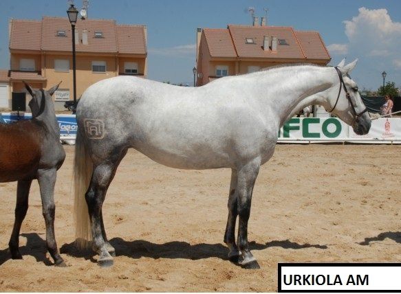 Urkiola AM