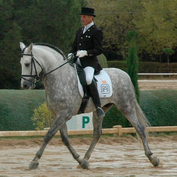 Premios de Yeguada Antonio Moreta